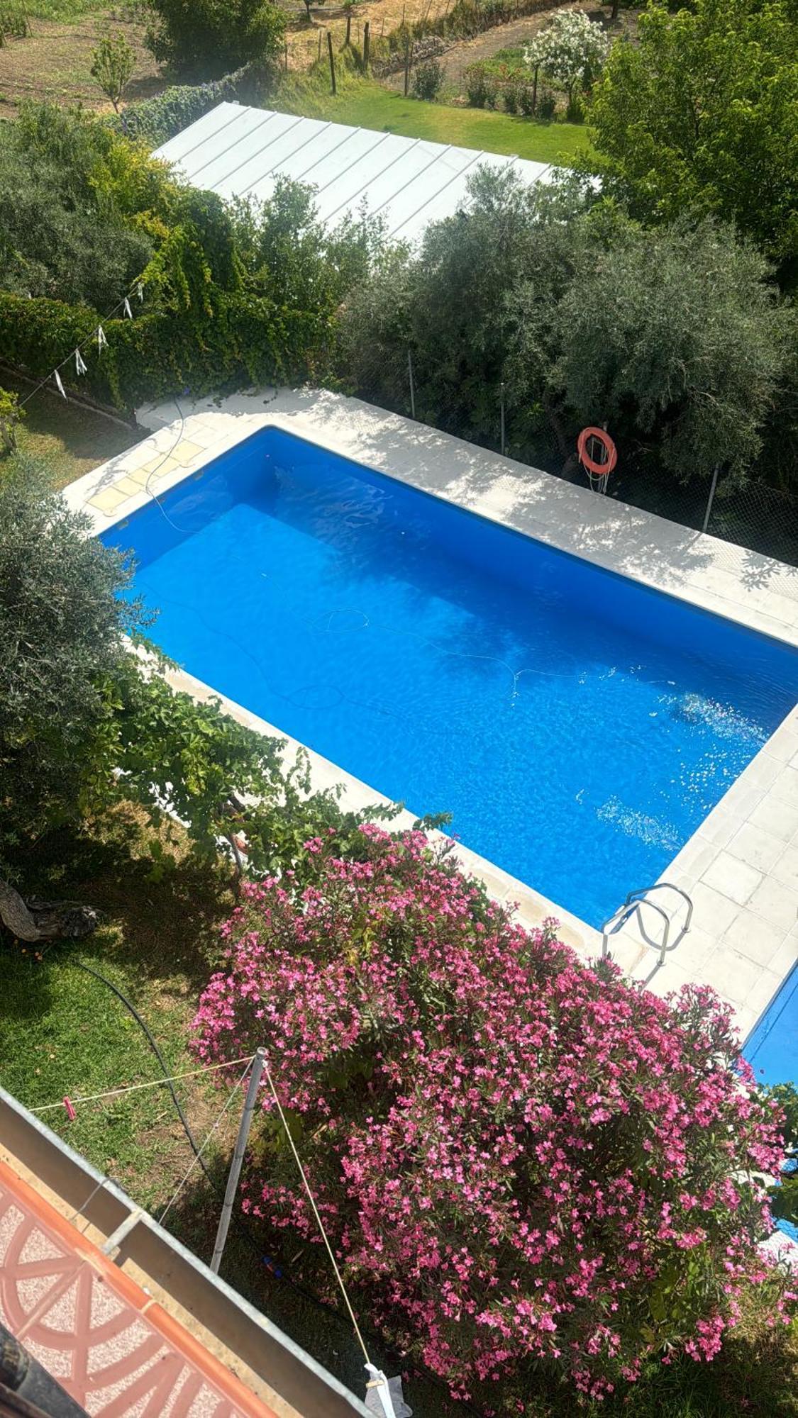 Casa Antonio Algodonales Guest House Exterior photo